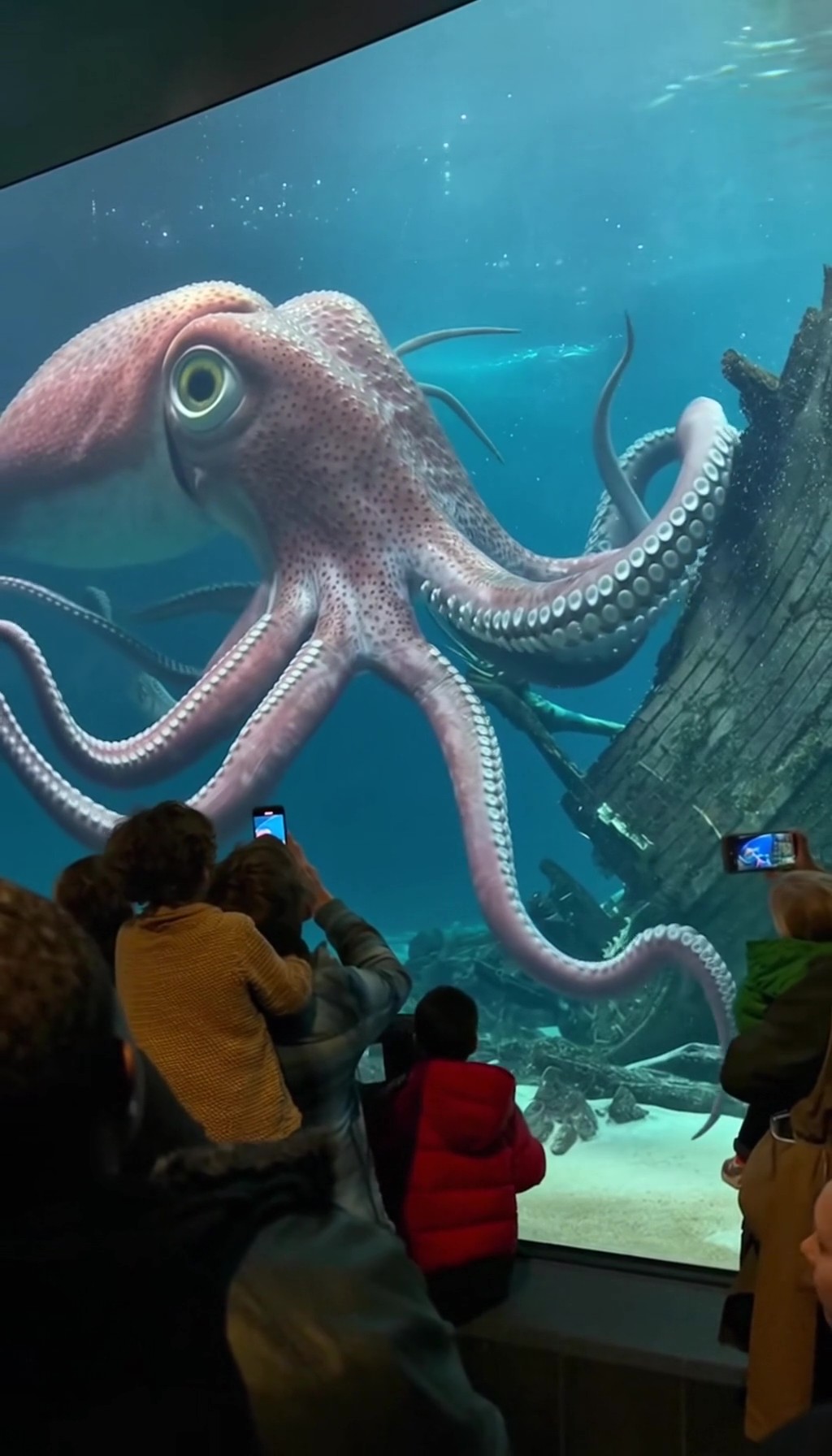 クラーケン（Kraken）